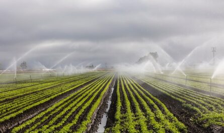 Irrigation agricole grâce à l'ozone en Algérie