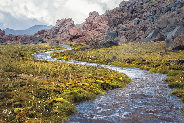 Traitement des eaux usées à l&rsquo;ozone