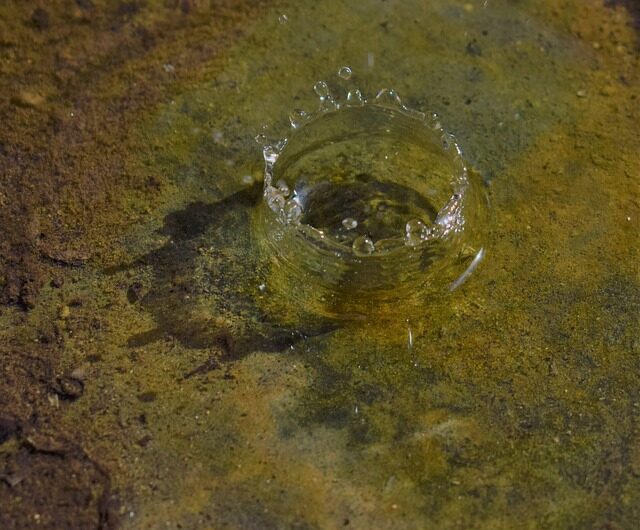 Élimination des microplastiques par oxydation à l&rsquo;ozone