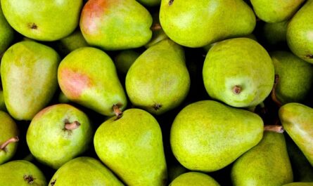 Efficacité de l'ozone sur la conservation post-récolte de la poire